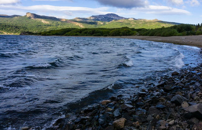 Excursión al Parque Nacional de Los Alerces - Foto 3